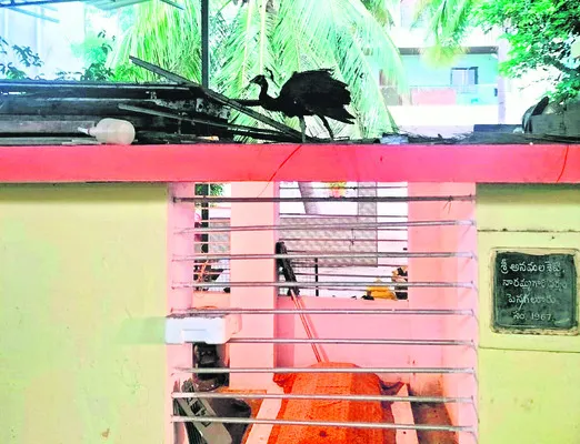 వడమాల