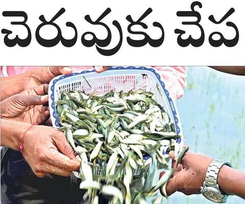 పెద్ద