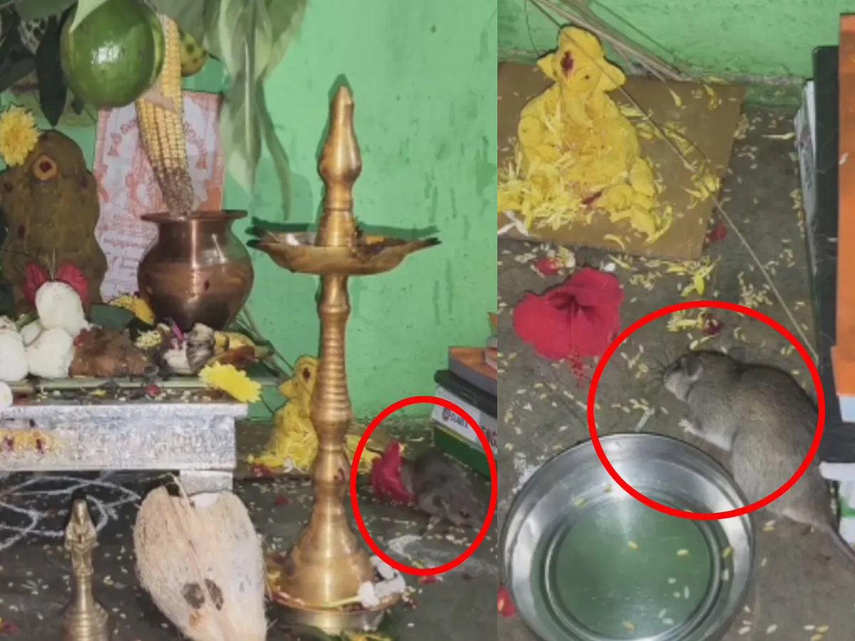 Rare Ganesh Chaturthi Incident in Jangareddygudem Leaves Locals Amazed