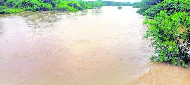 ముంచె