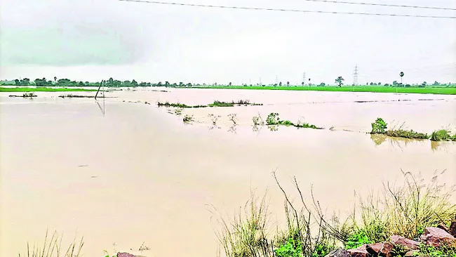 జిల్ల