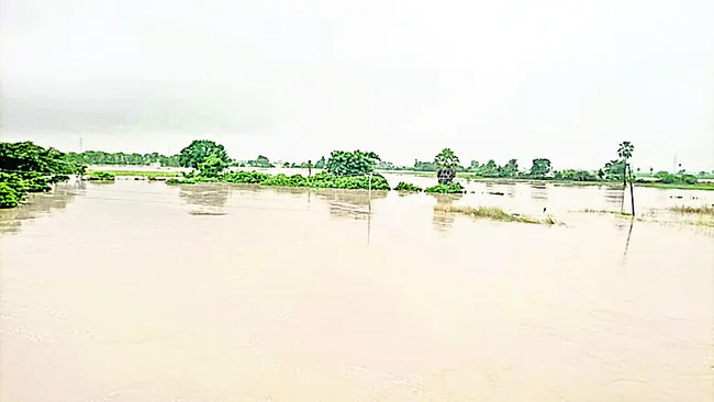 23 అడుగులకు చేరిన గణపసముద్రం

