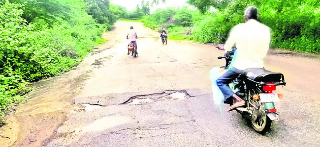 అలుగు