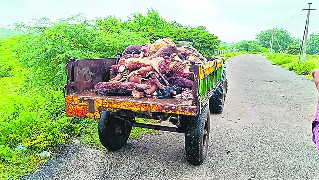 70 గొ