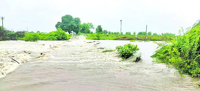 దంచి