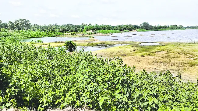నీరు