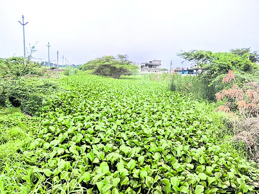 ప్రశ్