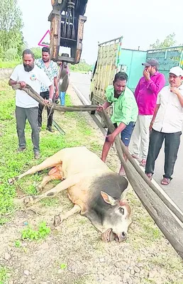మానవత్వం చాటుకున్న కార్మికులు