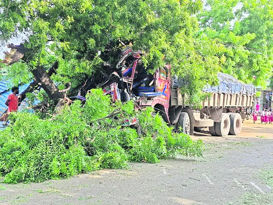 చెట్ట