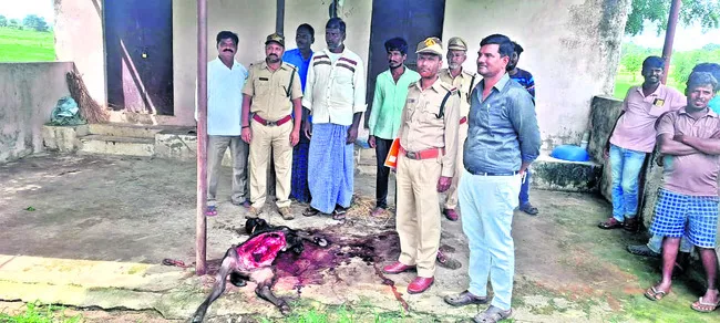 వేర్వ