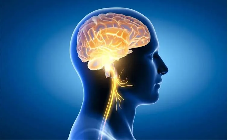 Health Tips: Medullary stroke: Symptoms treatment and outlook