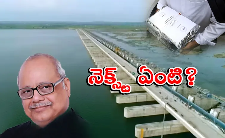 Officers Study On Kaleshwaram Commission Report Concluded