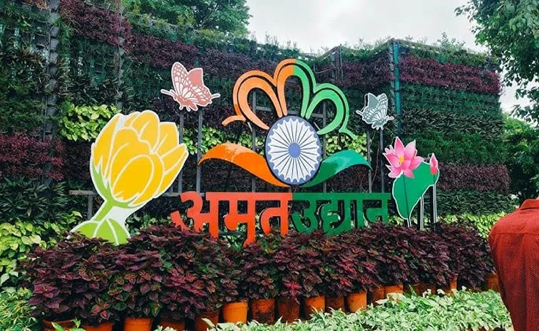 Amrit Udyan summer annuals to open for public from August 16 to September 14