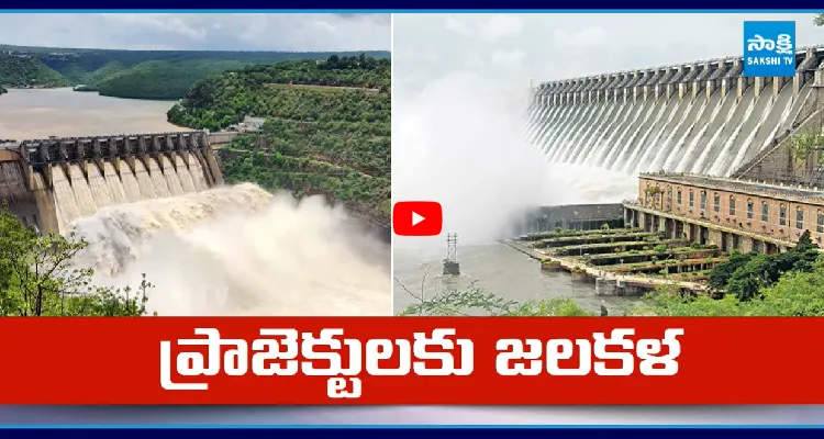 ప్రాజెక్టులకు జలకళ
