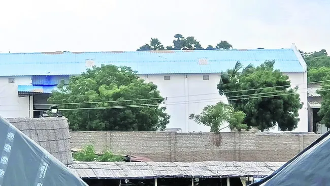 తేలిన
