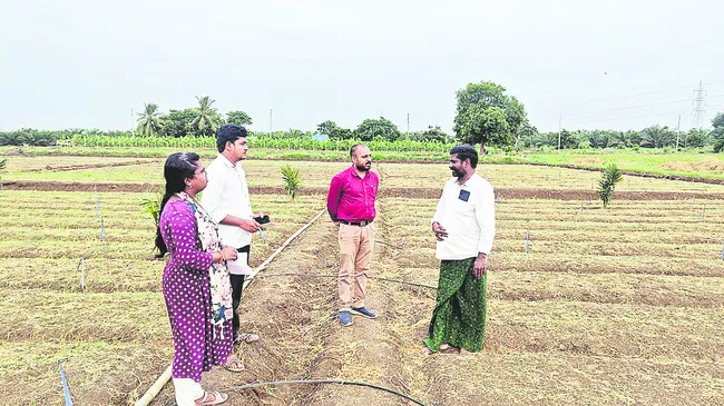 పొగాకు నారుమడికి రిజిస్ట్రేషన్ తప్పనిసరి