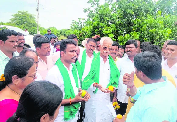 ఉద్యాన పంటల సంరక్షణకు కృషి