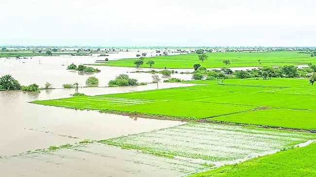 గోదార