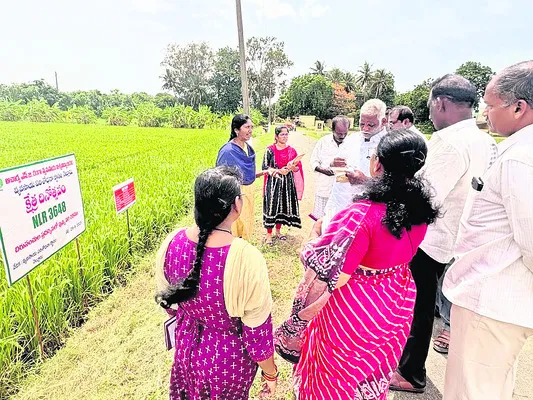శిక్షణ, ఉద్యోగావకాశాలు