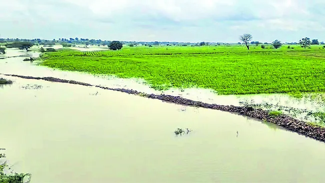 సర్వే