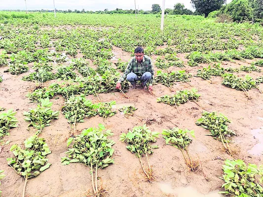 నష్టమే మిగిలింది