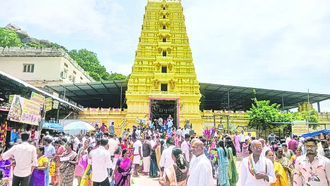టెండర్ల ద్వారా మల్లన్నకు రూ.3.43కోట్లు
