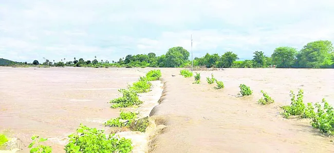 వాగుద