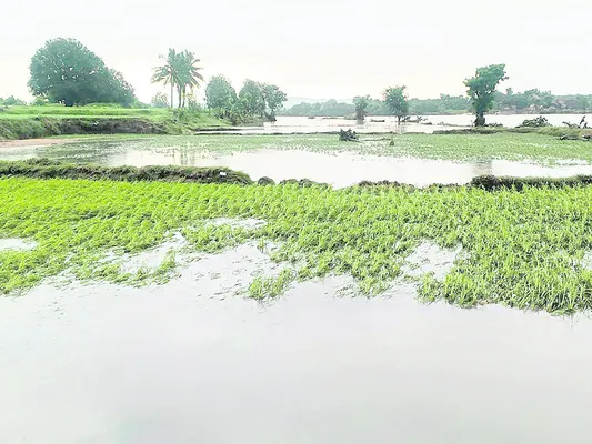 అపారనష్టం