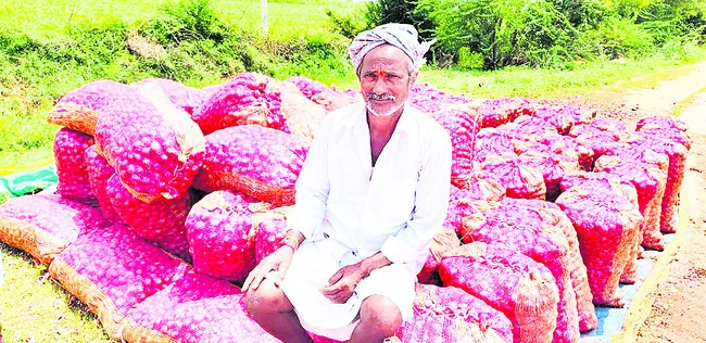 ఉల్లి
