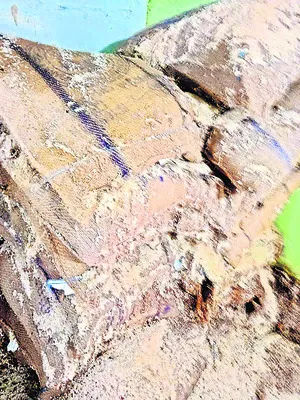 పురుగుల పాలు