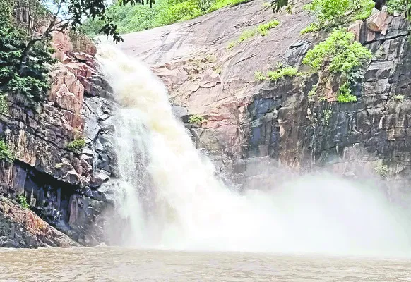 నల్లమ