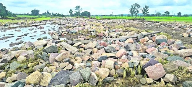 రెక్కల కష్టం మట్టిపాలు