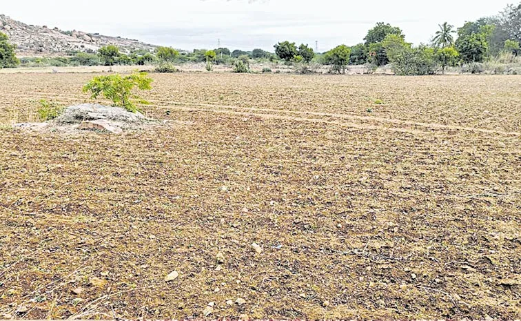 AP at bottom in Kharif cultivation across country