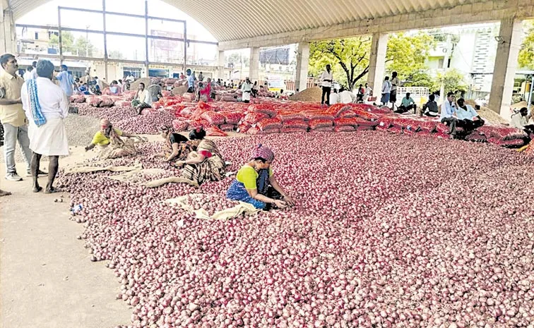 TDP conspiracy against onion farmers