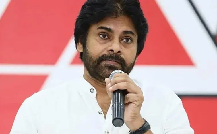 Pawan Kalyan Interesting Comments On Janasena Politics