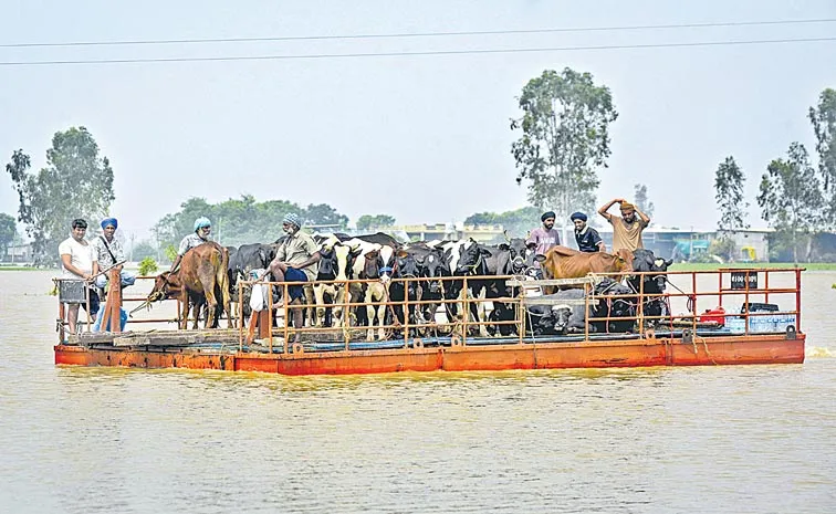 ఆశల బల్లకట్టు