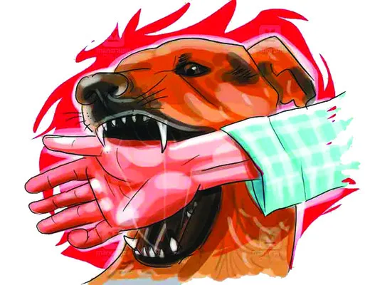 హడలెత