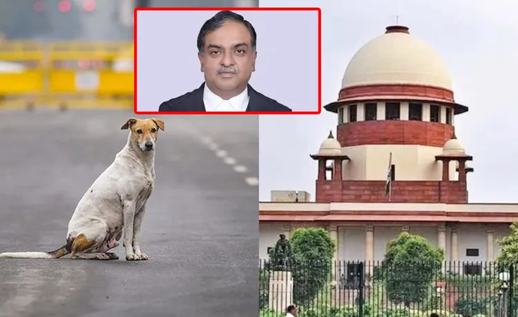 ‘వీధికుక్కల కేసుతో నేనిప్పుడు వరల్డ్‌ ఫేమస్‌’