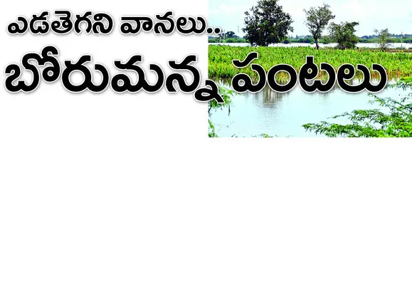 అటు వ
