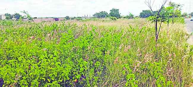 పీఓటీ అస్త్రం!