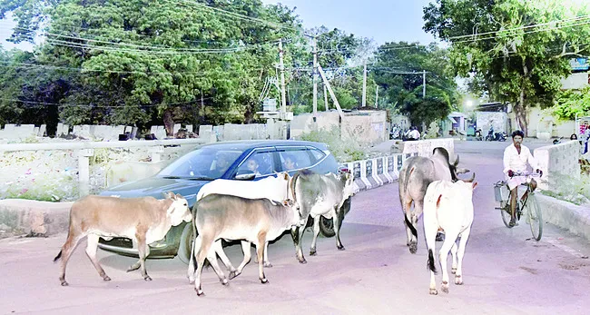 వీధివ