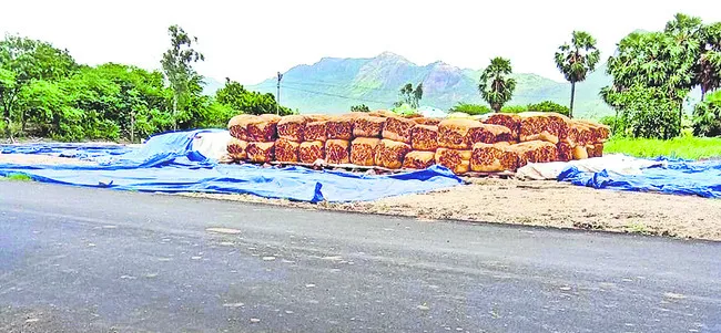 పొగాకు కొనుగోళ్లు బంద్