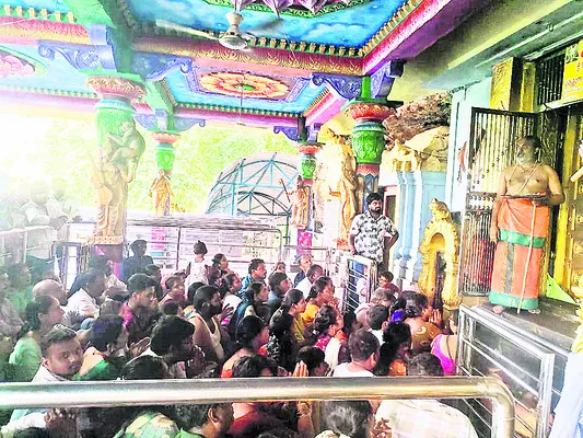 హేమాచ