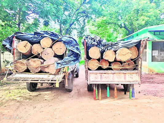 టేకుకలప స్వాధీనం