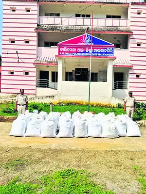 11 నుంచి మినిస్టీరియల్ ఉద్యోగుల సామూహిక సెలవు