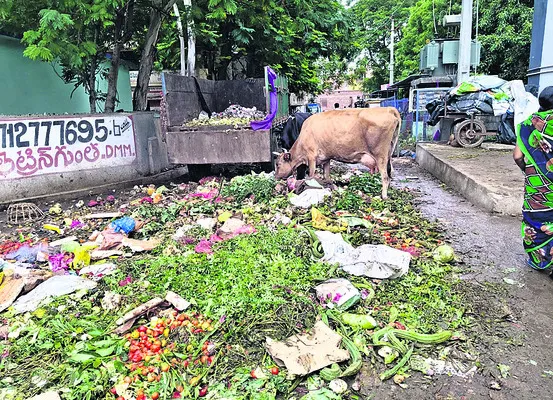 వీధివ