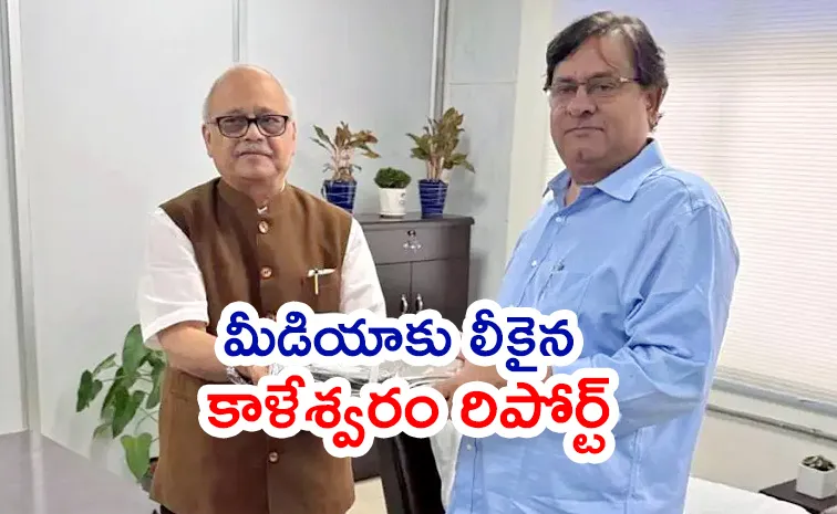 Kaleshwaram Commission Report On Kaleshwaram Irregularities