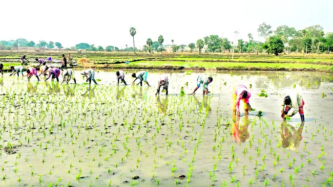 ఖరీఫ్