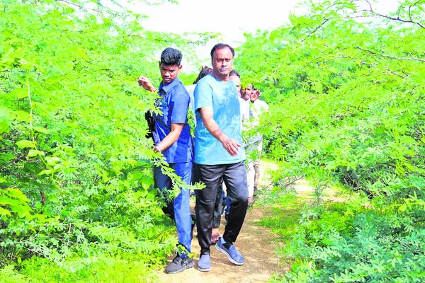 దాటుకుంటూ..