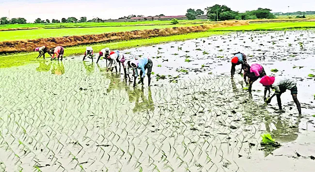 సూర్యప్రతాపం